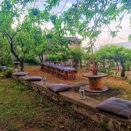 Domus Narnia Hostel Εξωτερικό φωτογραφία